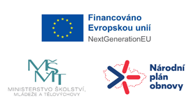 Doučování žáků škol